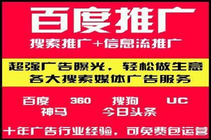 百度竞价广告案例分析：成功之道揭秘